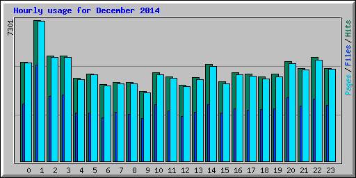 Hourly usage for December 2014
