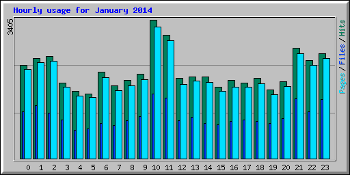 Hourly usage for January 2014