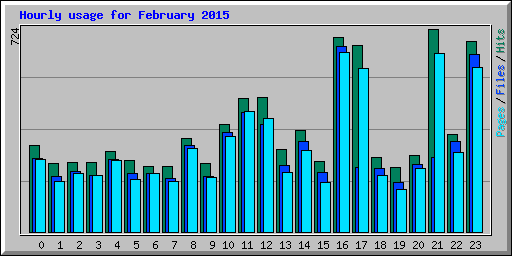 Hourly usage for February 2015