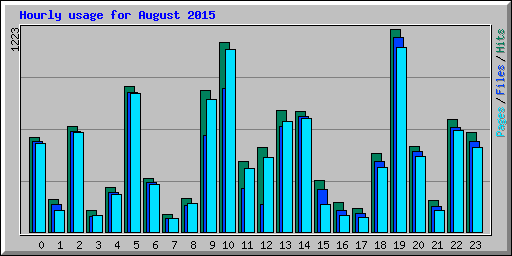 Hourly usage for August 2015