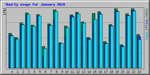 Hourly usage for January 2016