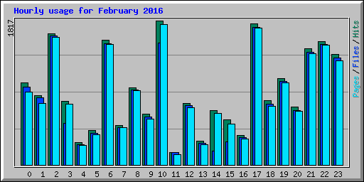 Hourly usage for February 2016