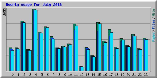 Hourly usage for July 2016