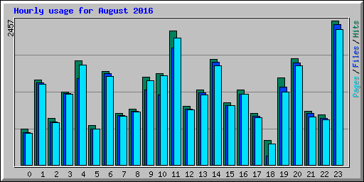 Hourly usage for August 2016