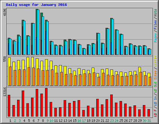 Daily usage for January 2016