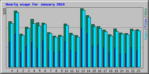 Hourly usage for January 2016