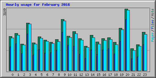 Hourly usage for February 2016