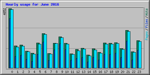 Hourly usage for June 2016
