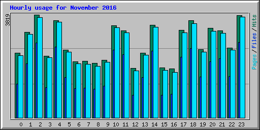 Hourly usage for November 2016