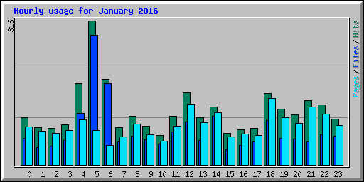 Hourly usage for January 2016