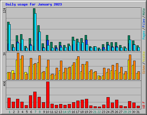 Daily usage for January 2023