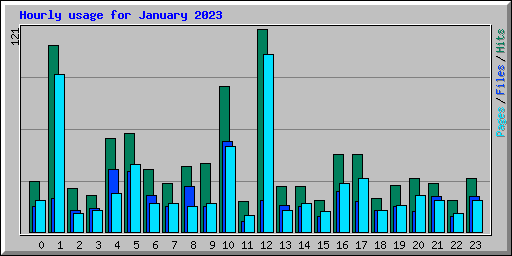 Hourly usage for January 2023