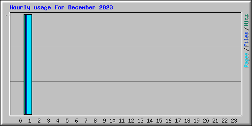 Hourly usage for December 2023